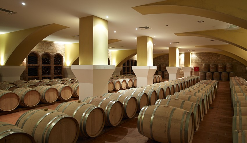 Cellar