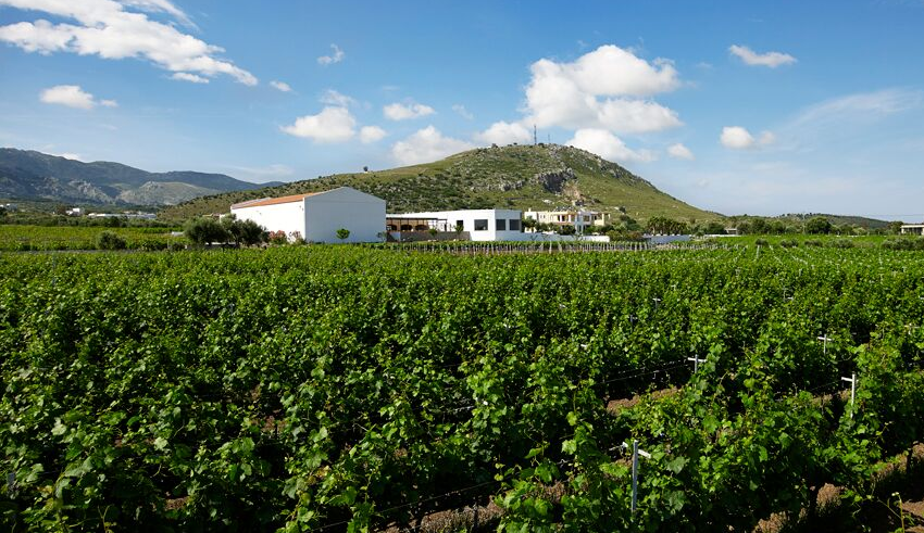 Αμπελώνες Τριανταφυλλόπουλου • Triantafyllopoulos Winery